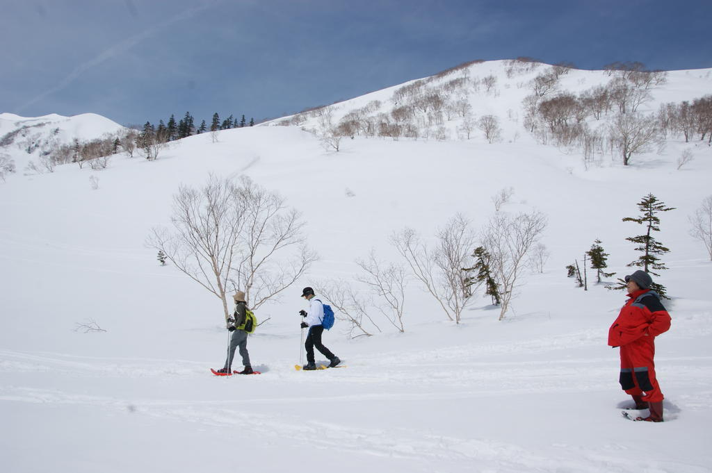 自家製酵母パンの宿　白馬山麓栂池高原　プチホテルシャンツェ 小谷村 エクステリア 写真
